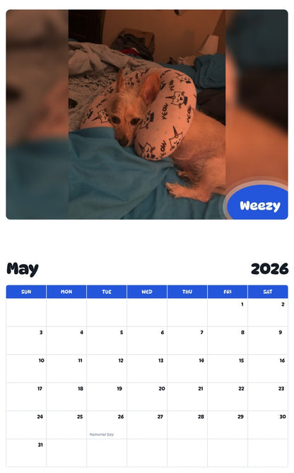 2026 - 2027 Weezy - Pawidols Pet Calendar