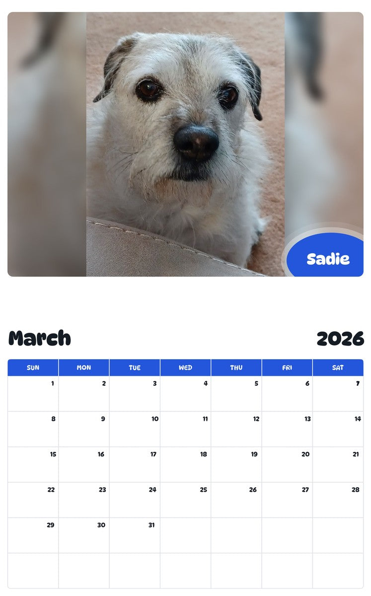 November 2025 - October 2026 Sadie - Pawidols Pet Calendar