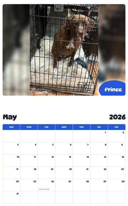 2026 - 2027 Prince - Pawidols Pet Calendar