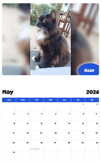 2026 - 2027 Bear - Pawidols Pet Calendar