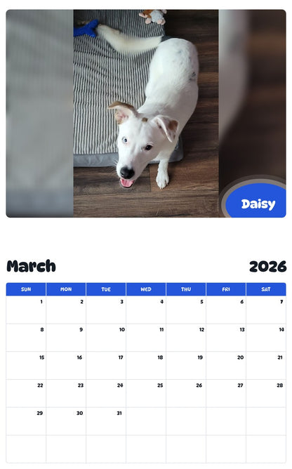 November 2025 - October 2026 Daisy - Pawidols Pet Calendar