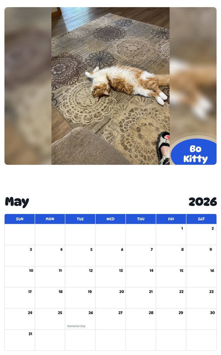 2026 - 2027 Bo Kitty - Pawidols Pet Calendar