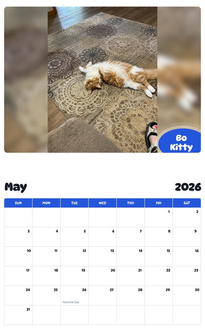 2026 - 2027 Bo Kitty - Pawidols Pet Calendar