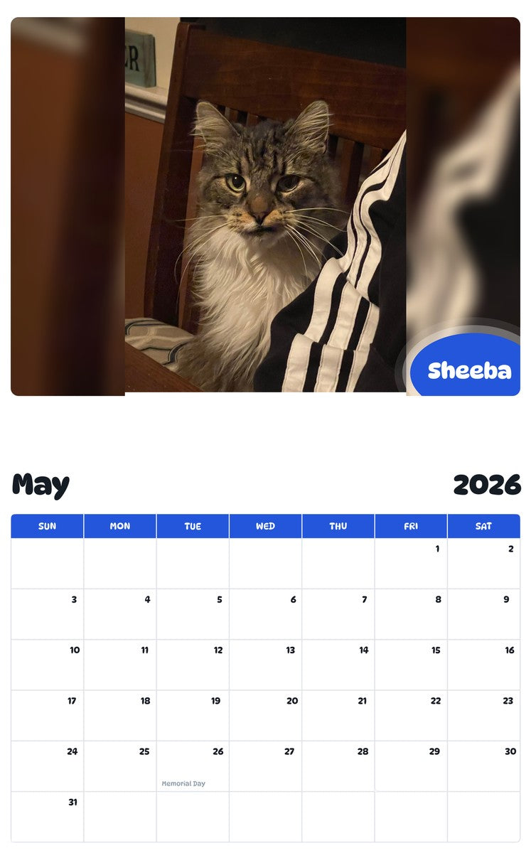 2026 - 2027 Sheeba - Pawidols Pet Calendar