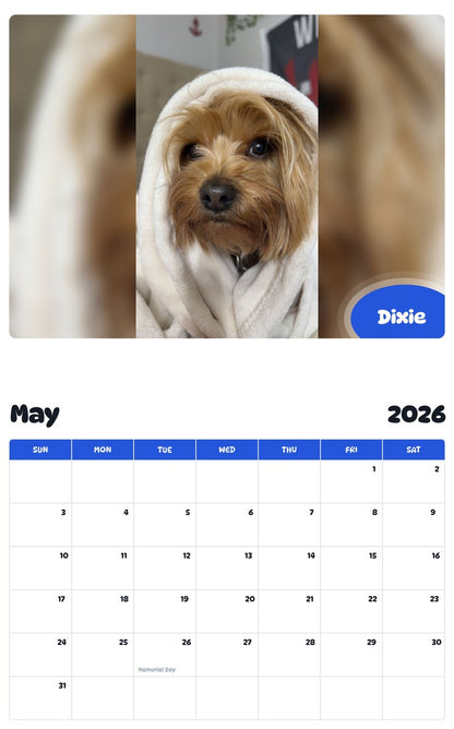 2026 - 2027 Dixie - Pawidols Pet Calendar