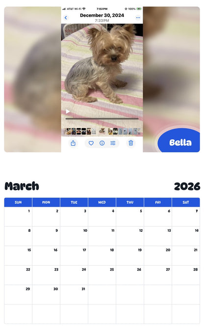 November 2025 - October 2026 Bella - Pawidols Pet Calendar