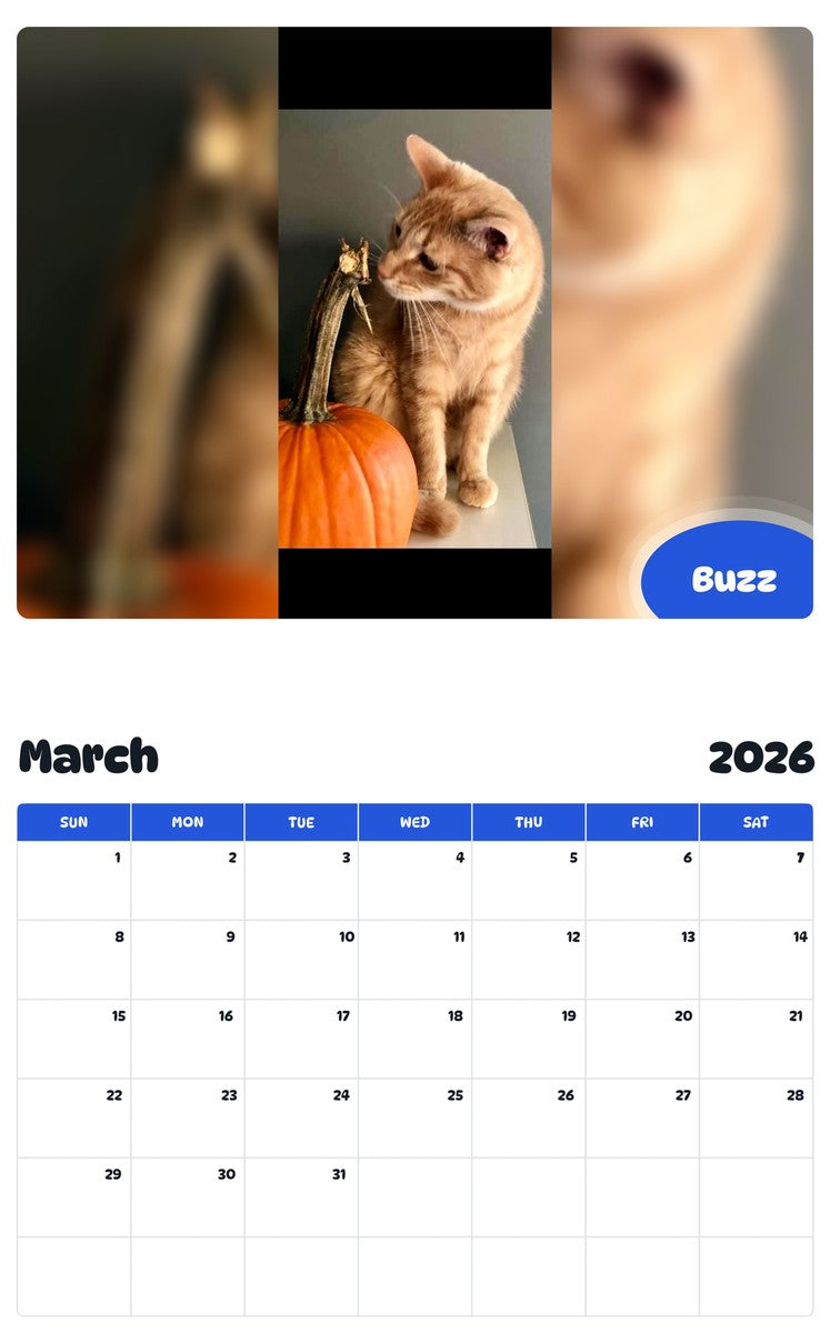 November 2025 - October 2026 Buzz - Pawidols Pet Calendar
