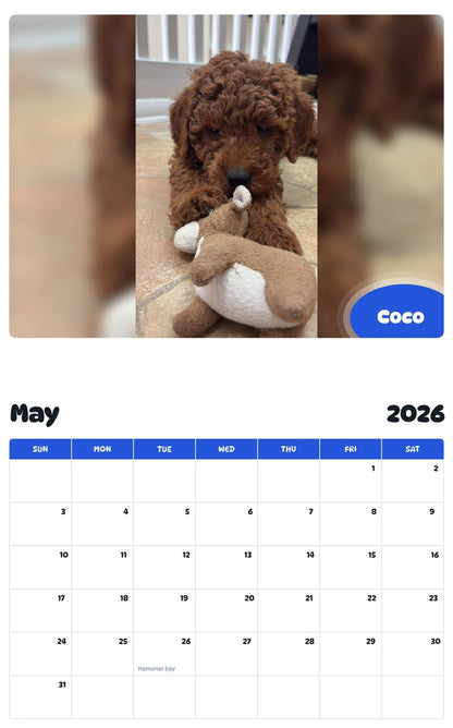 2026 - 2027 Coco - Pawidols Pet Calendar
