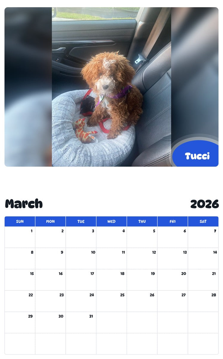 November 2025 - October 2026 Tucci - Pawidols Pet Calendar