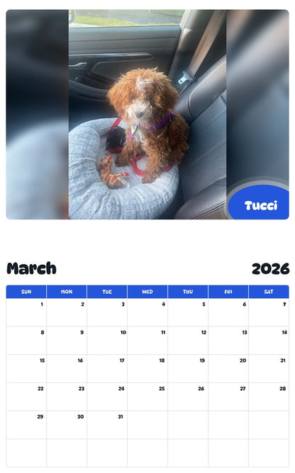November 2025 - October 2026 Tucci - Pawidols Pet Calendar