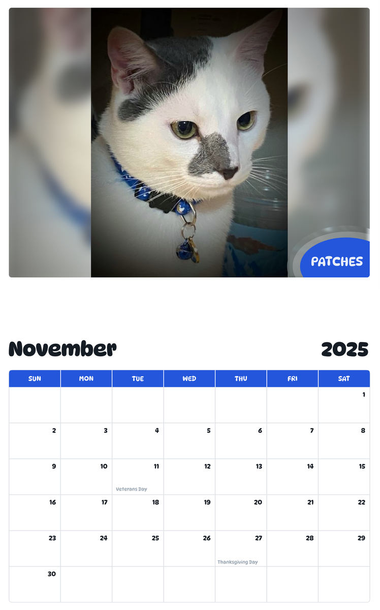 July 2025 - June 2026 Patches - Pawidols Pet Calendar