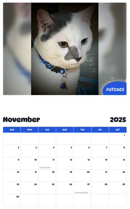 July 2025 - June 2026 Patches - Pawidols Pet Calendar