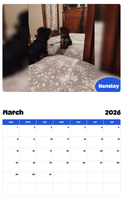 November 2025 - October 2026 Hensley - Pawidols Pet Calendar