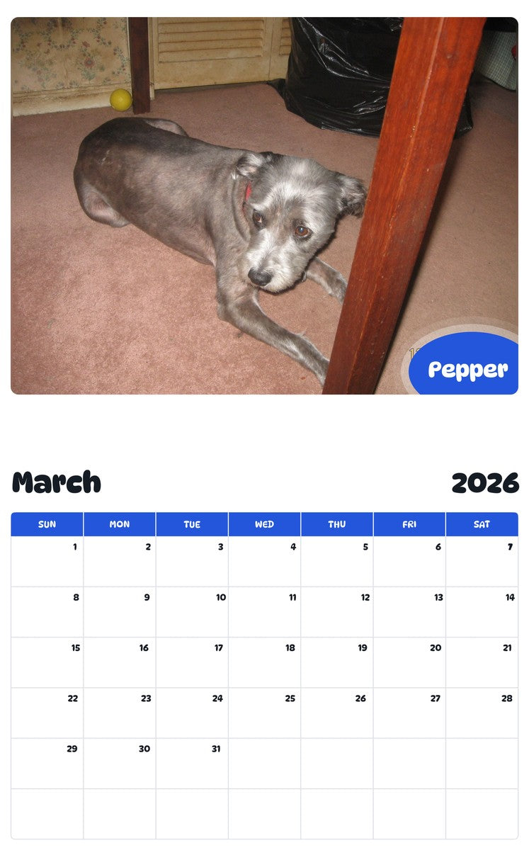 November 2025 - October 2026 Pepper - Pawidols Pet Calendar