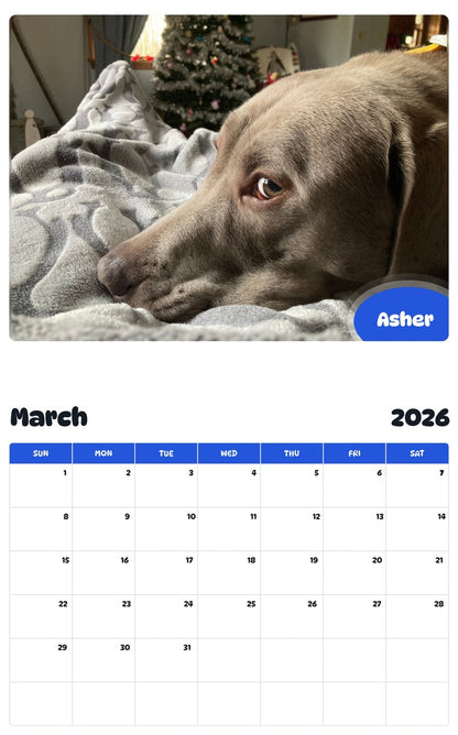 November 2025 - October 2026 Asher - Pawidols Pet Calendar
