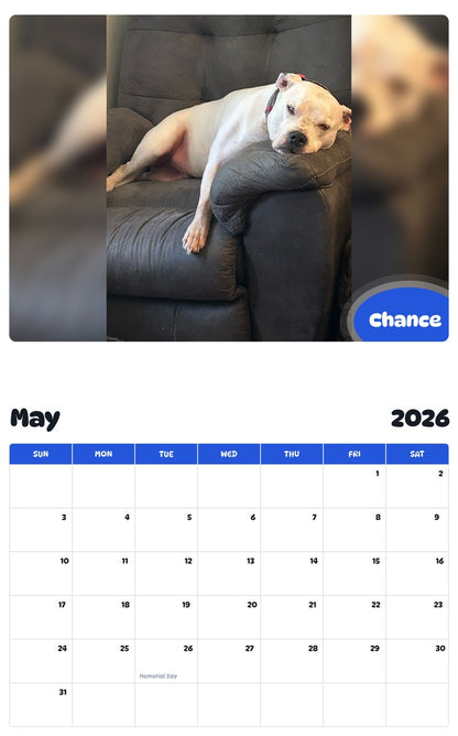 2026 - 2027 Chance - Pawidols Pet Calendar