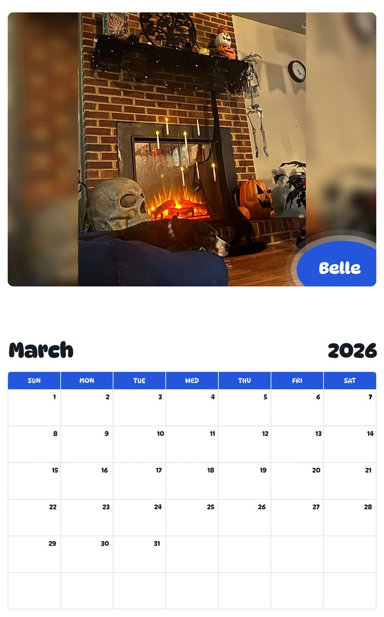 November 2025 - October 2026 Belle - Pawidols Pet Calendar
