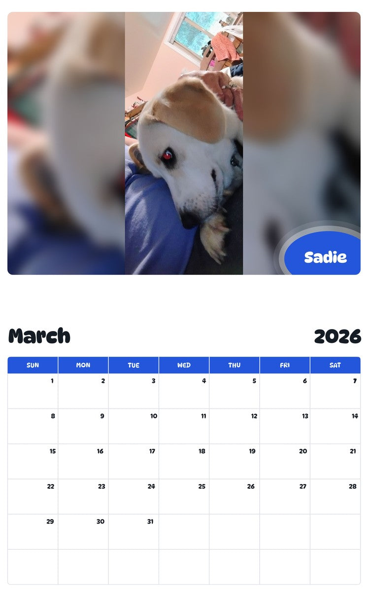 November 2025 - October 2026 Sadie - Pawidols Pet Calendar