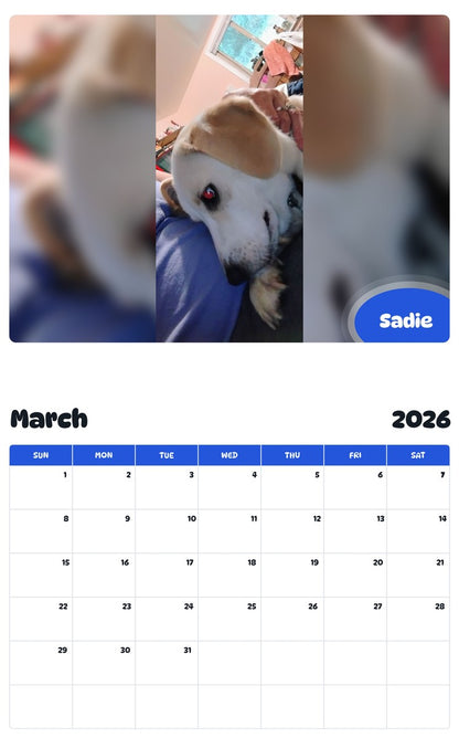 November 2025 - October 2026 Sadie - Pawidols Pet Calendar