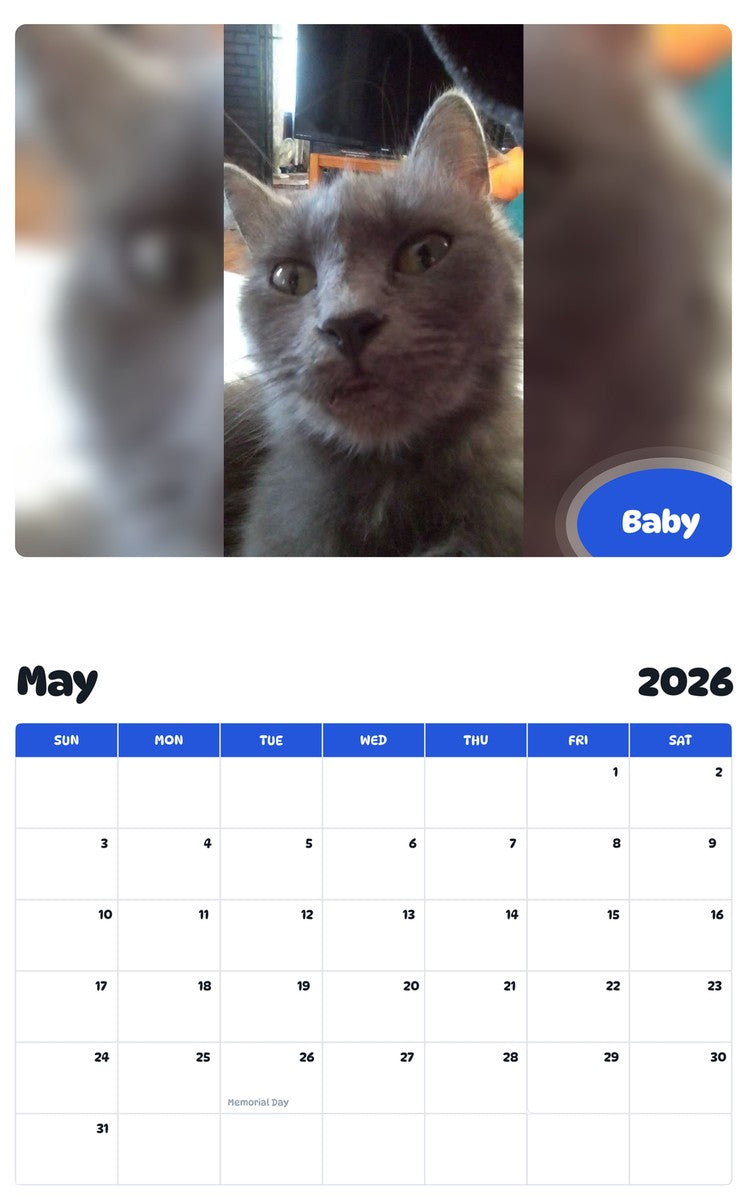 2026 - 2027 Baby - Pawidols Pet Calendar