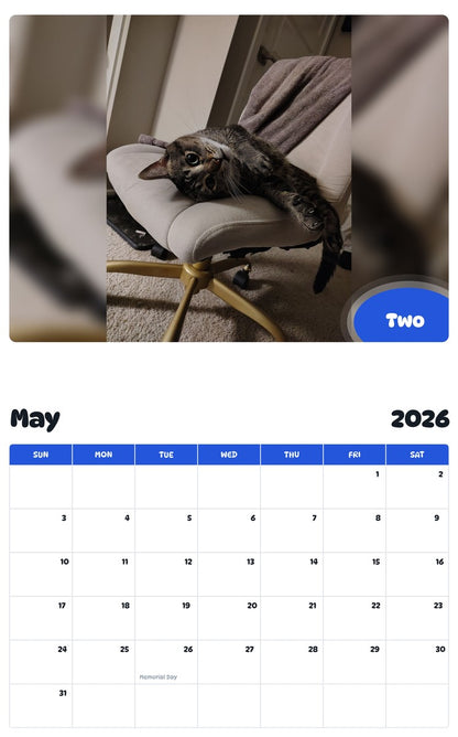 2026 - 2027 Two - Pawidols Pet Calendar