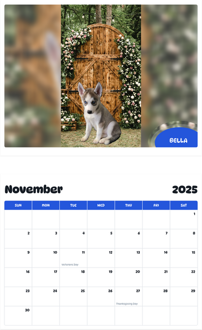 July 2025 - June 2026 Bella - Pawidols Pet Calendar