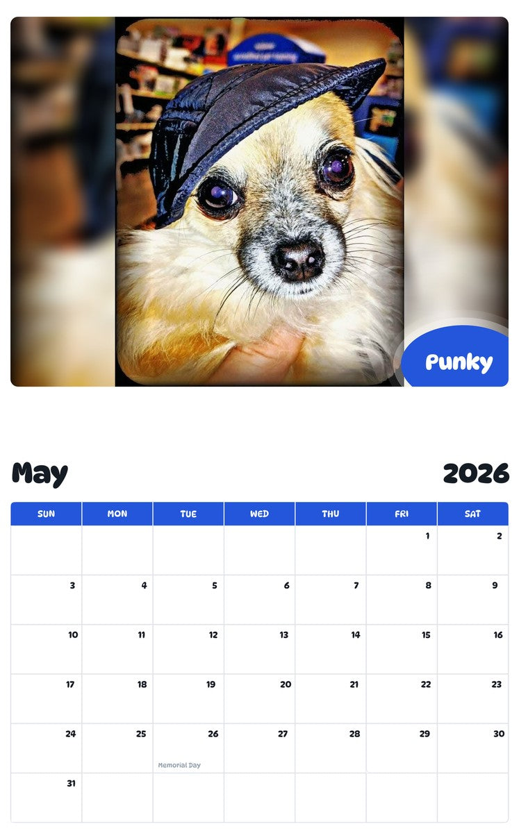 2026 - 2027 Punky - Pawidols Pet Calendar