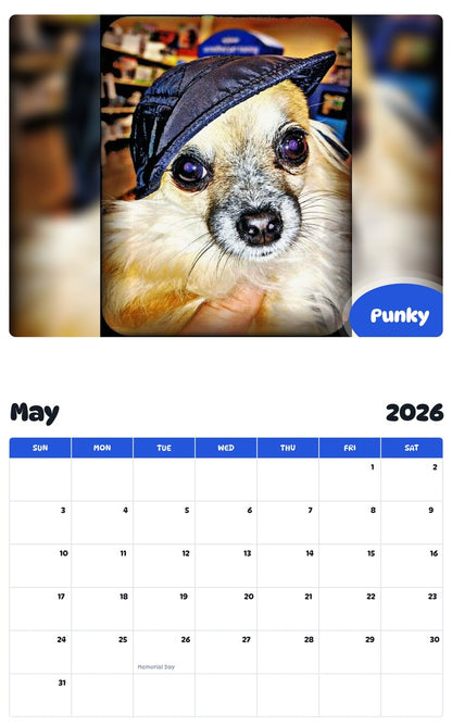 2026 - 2027 Punky - Pawidols Pet Calendar