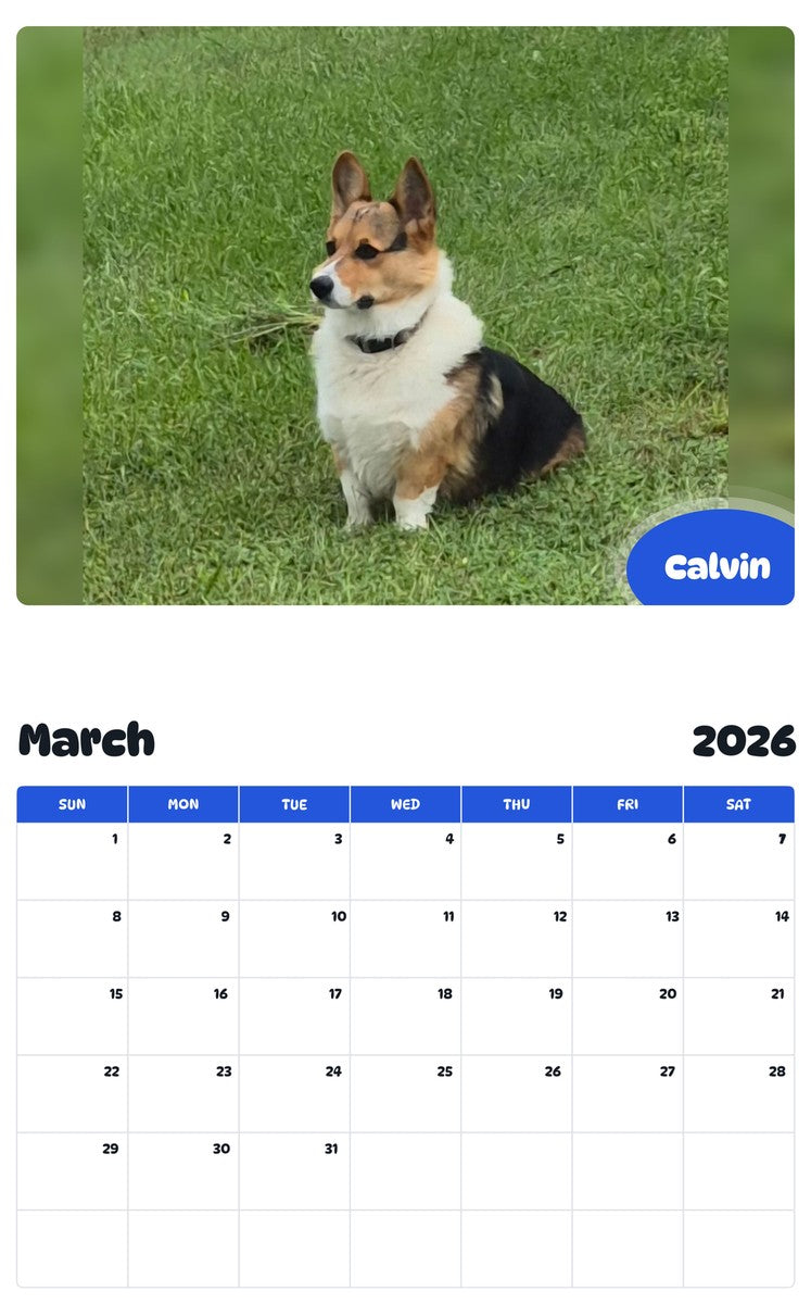November 2025 - October 2026 Calvin - Pawidols Pet Calendar