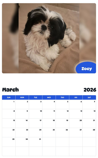November 2025 - October 2026 Zoey - Pawidols Pet Calendar