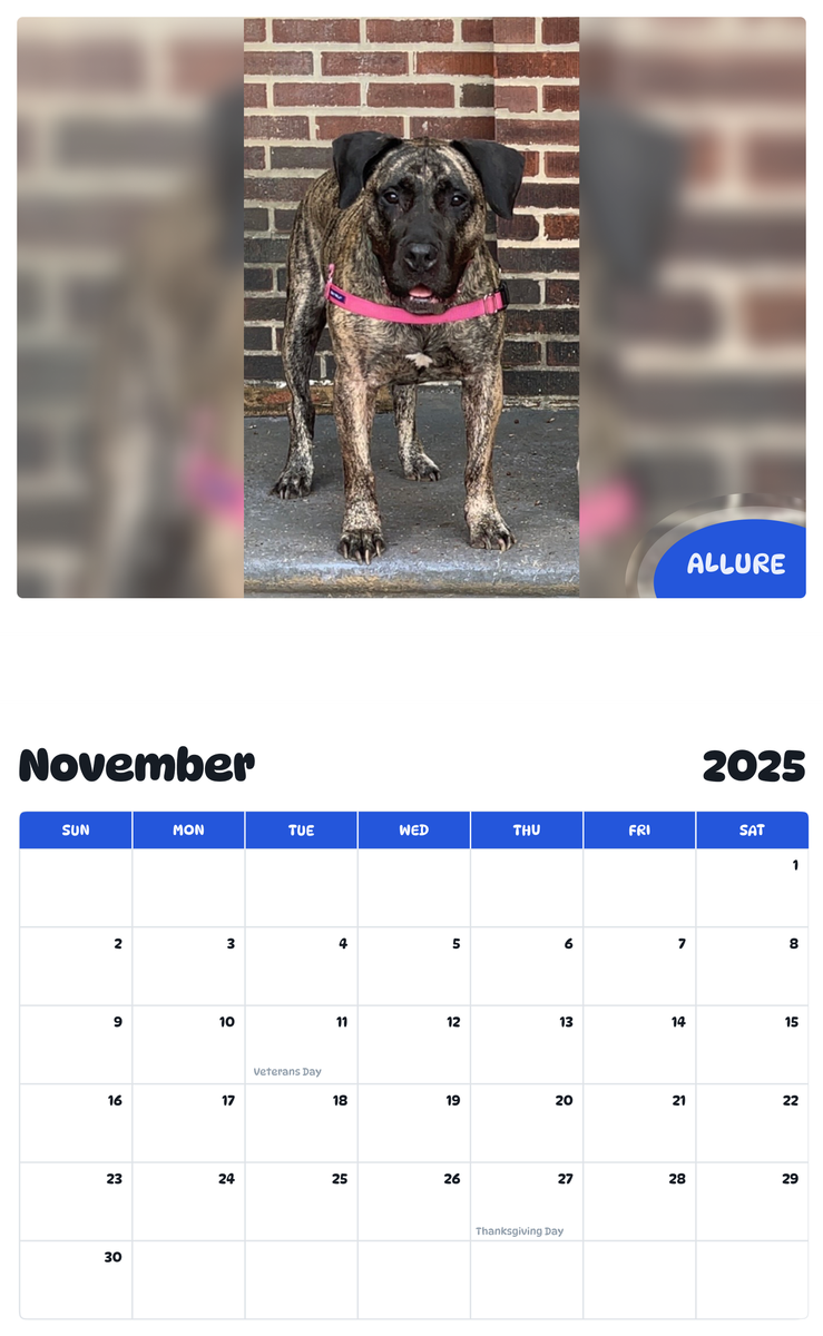 July 2025 - June 2026 Allure - Pawidols Pet Calendar