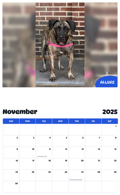 July 2025 - June 2026 Allure - Pawidols Pet Calendar