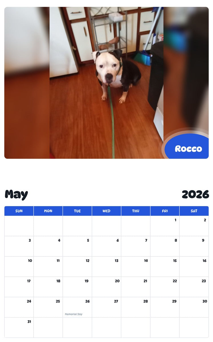 2026 - 2027 Rocco - Pawidols Pet Calendar