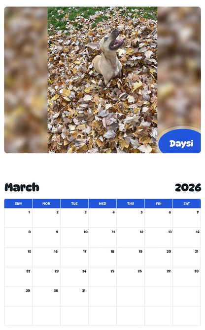 November 2025 - October 2026 Daysi - Pawidols Pet Calendar