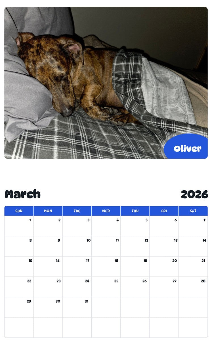 November 2025 - October 2026 Oliver - Pawidols Pet Calendar