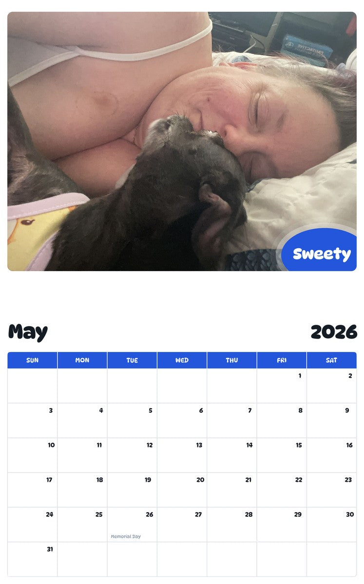 2026 - 2027 Sweety - Pawidols Pet Calendar