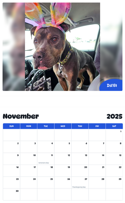July 2025 - June 2026 Da'Bi - Pawidols Pet Calendar