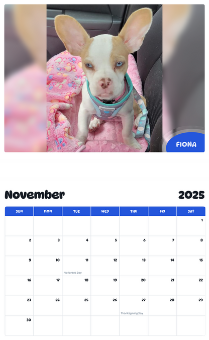 July 2025 - June 2026 FIONA - Pawidols Pet Calendar