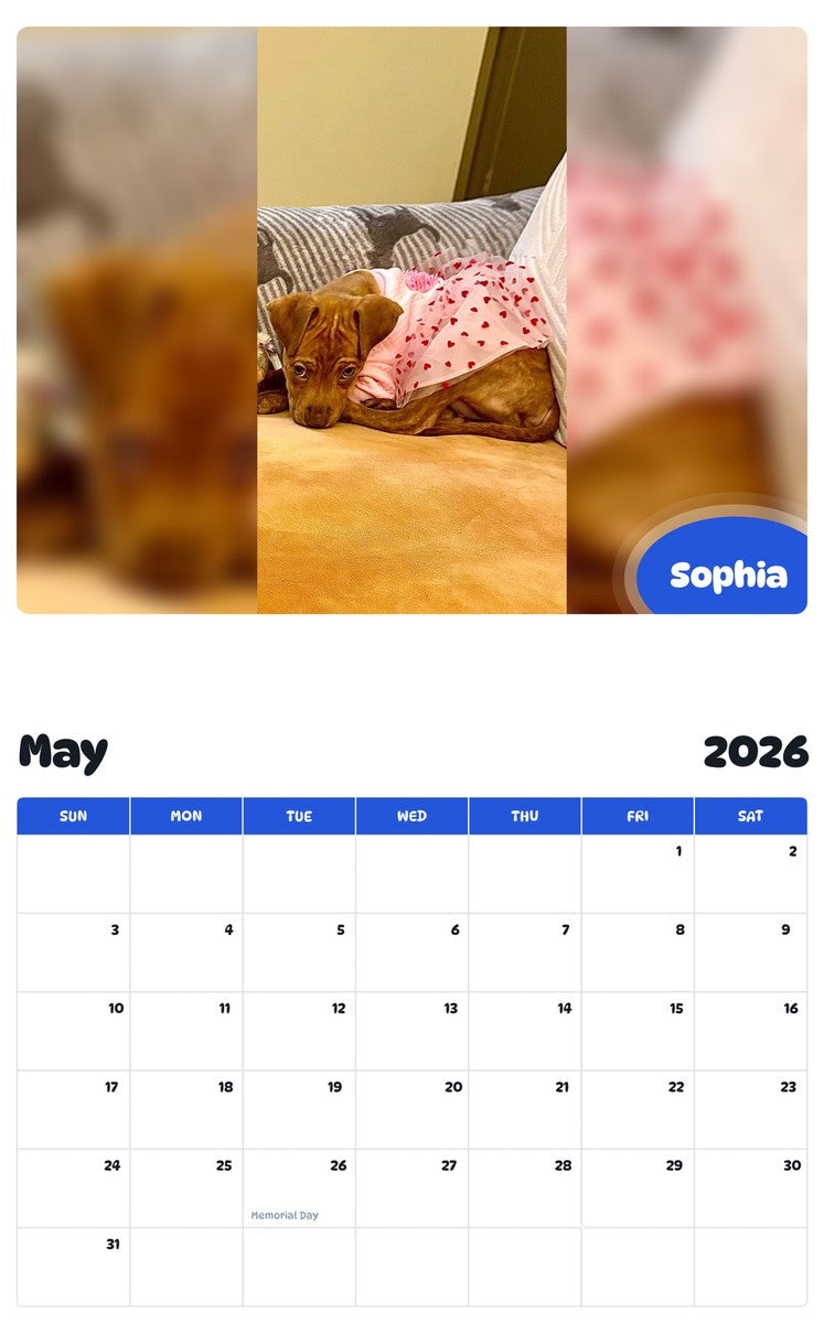 2026 - 2027 Sophia - Pawidols Pet Calendar