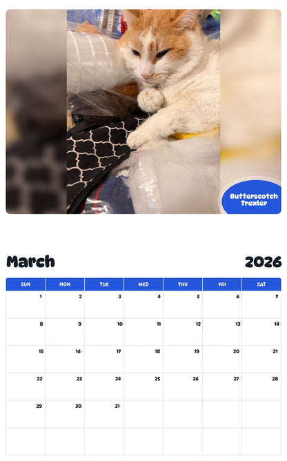 November 2025 - October 2026 Butterscotch  Trexler - Pawidols Pet Calendar