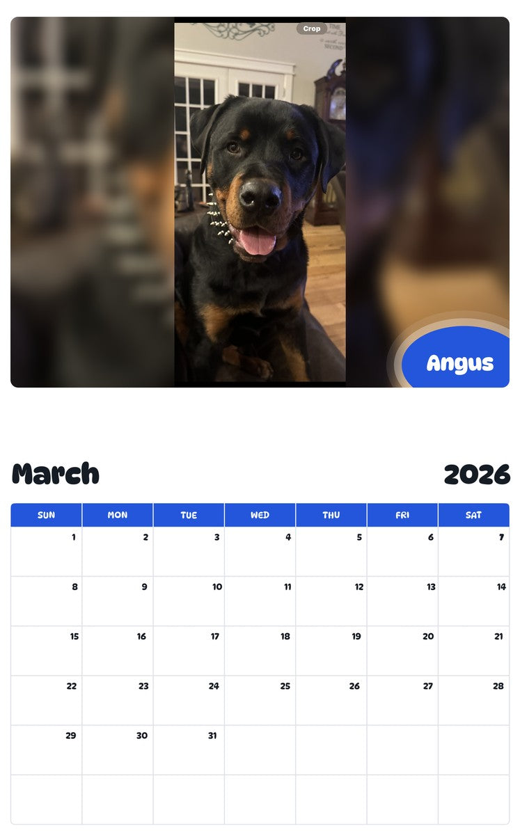 November 2025 - October 2026 Angus - Pawidols Pet Calendar