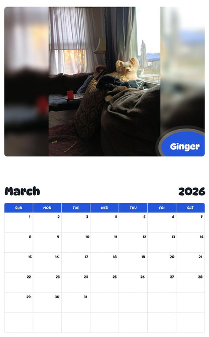 November 2025 - October 2026 Ginger - Pawidols Pet Calendar