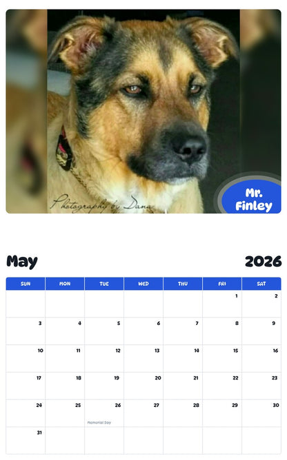 2026 - 2027 Mr. Finley - Pawidols Pet Calendar