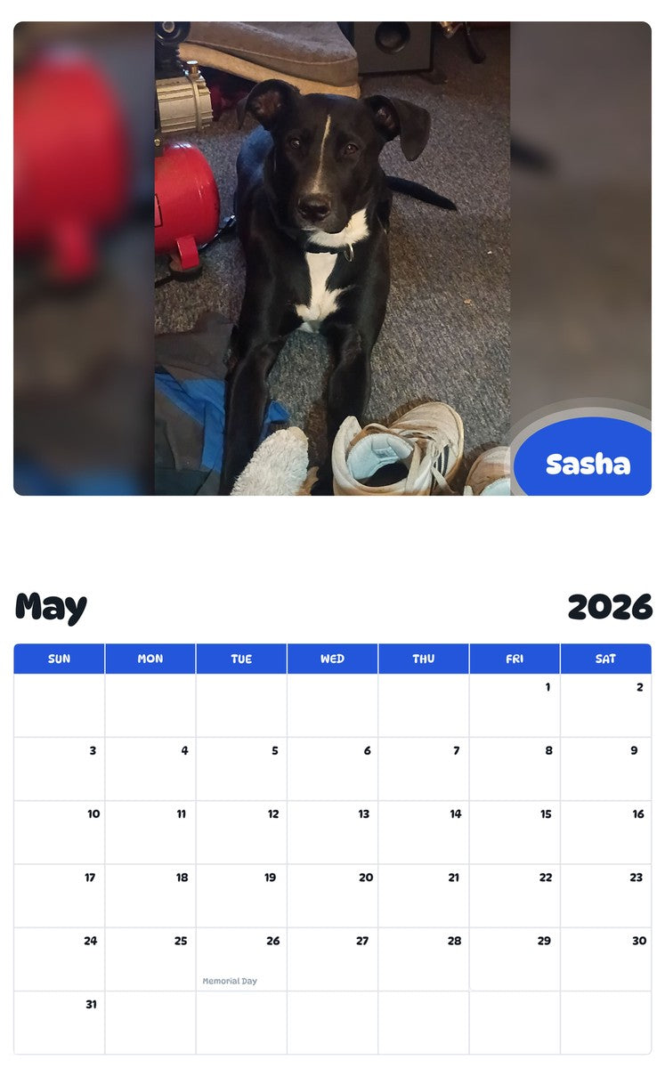 2026 - 2027 Sasha - Pawidols Pet Calendar