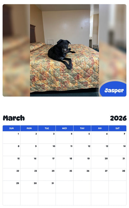 November 2025 - October 2026 Jasper - Pawidols Pet Calendar