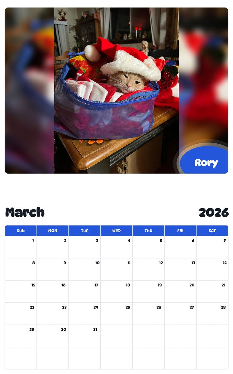 November 2025 - October 2026 Rory - Pawidols Pet Calendar