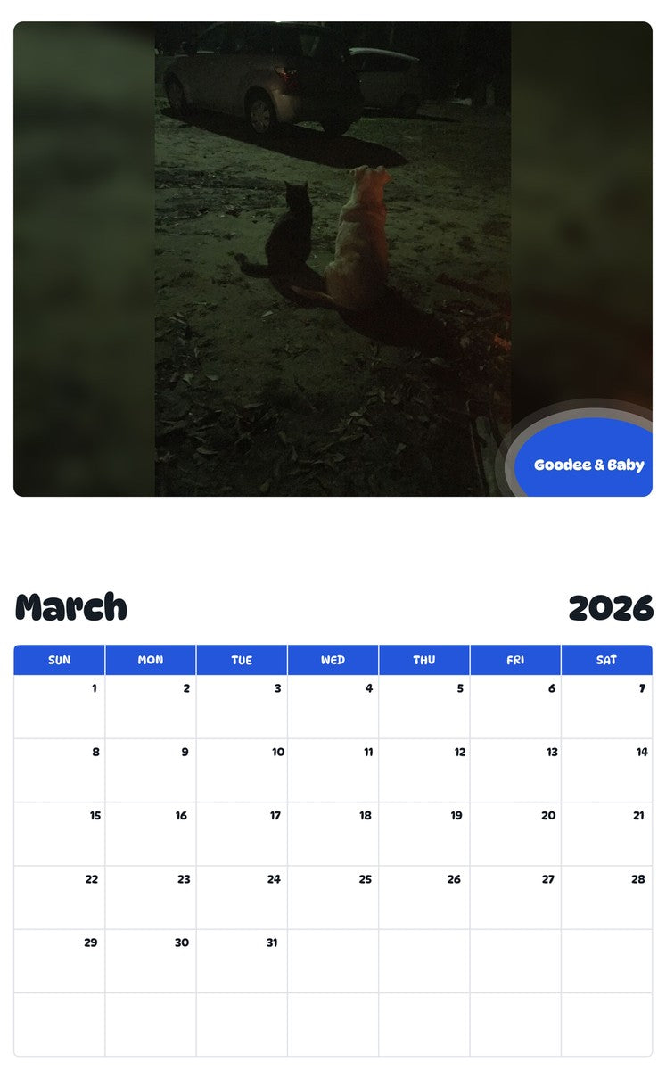 November 2025 - October 2026 Goodee & Baby - Pawidols Pet Calendar