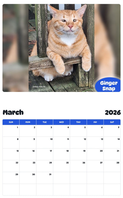 November 2025 - October 2026 Ginger Snap - Pawidols Pet Calendar