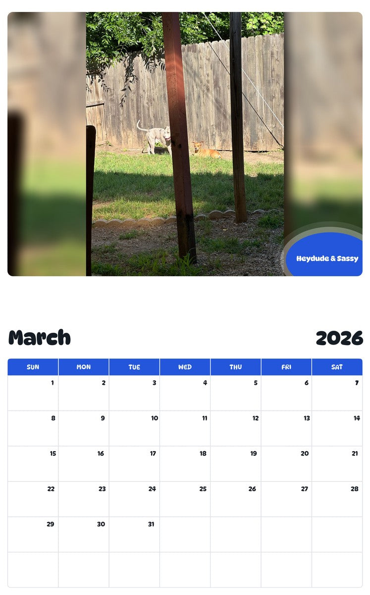 November 2025 - October 2026 Heydude & Sassy - Pawidols Pet Calendar