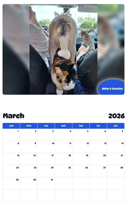 November 2025 - October 2026 Abby & CeeCee - Pawidols Pet Calendar